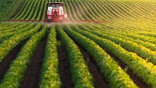 Pager-Freddy 3 Alleinarbeit in der Landwirtschaft